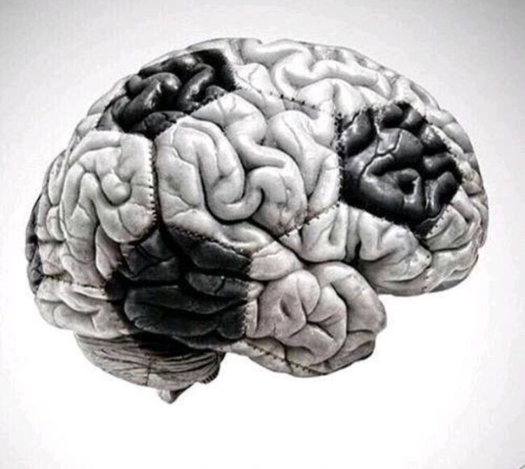 sharingscouting's tweet photo. Use your brain! https://t.co/5fduKkLIf7