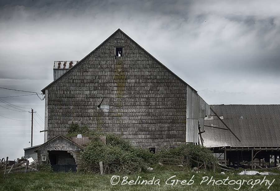 BelindaGreb's tweet photo. Great old Oregon barn - https://t.co/dCcBBYwszf https://t.co/mGBKK9FltV
