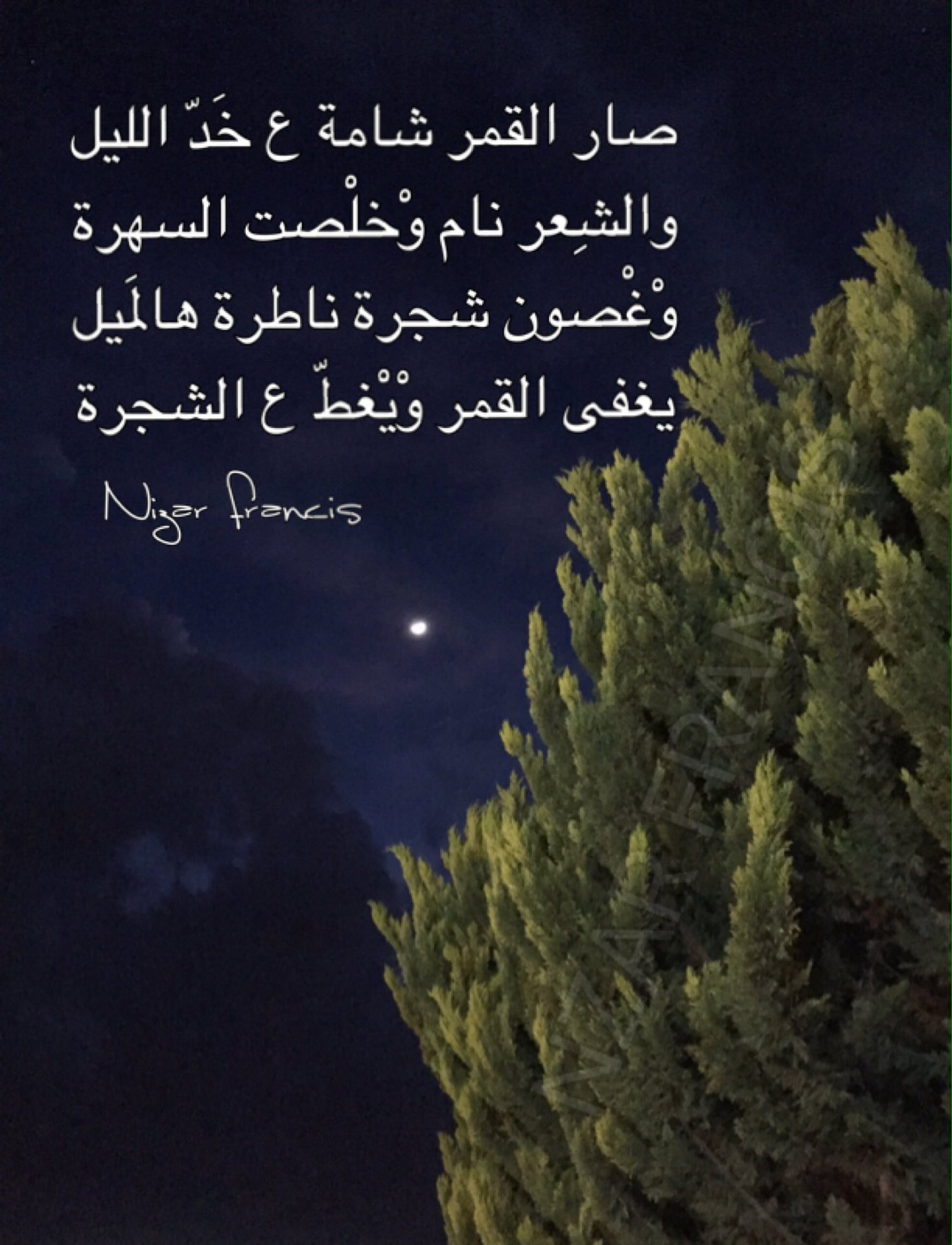 Nizar Francis on X: صار القمر شامة ع خَدّ الليل.. والشعر نام.. وْخلْصت  السهرة.. وْغْصون شجرة.. ناطرة هالمَيل.. يغفى القمر.. وْيْغطّ ع الشجرة..  t.cotMazbfPTUy  X