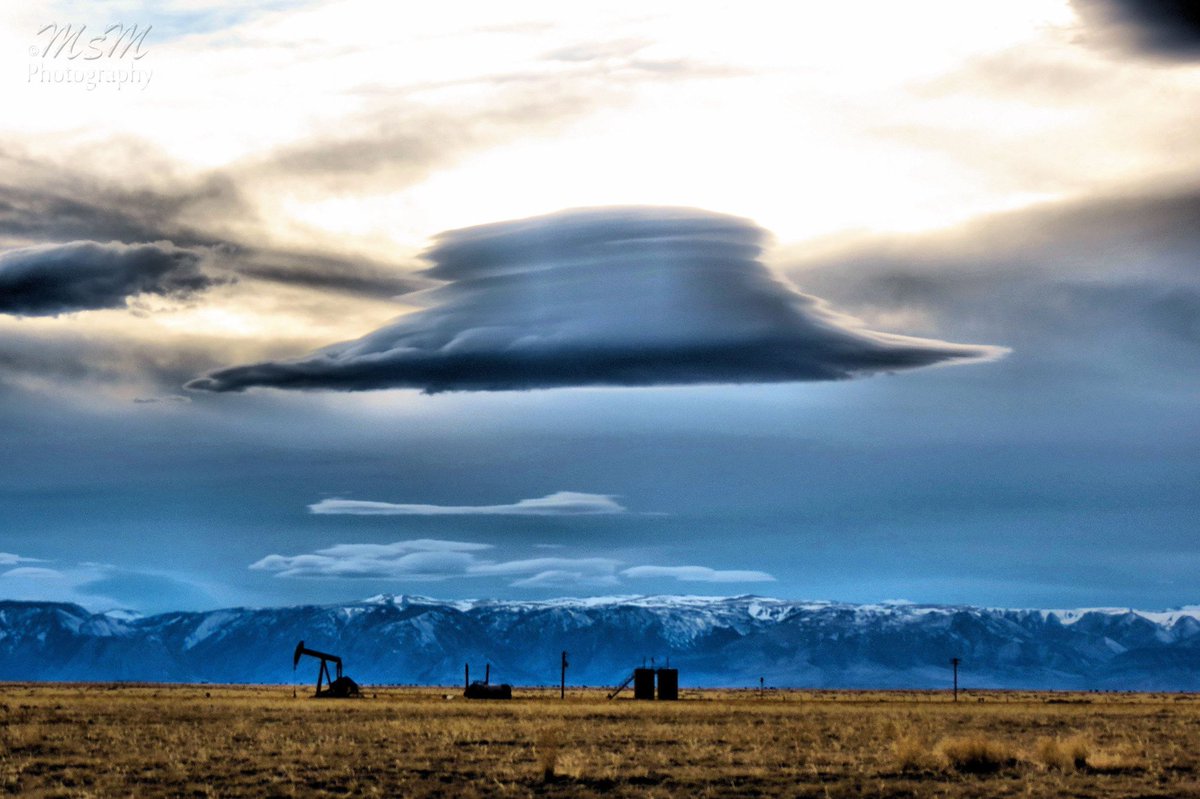 #StormHour tweet media