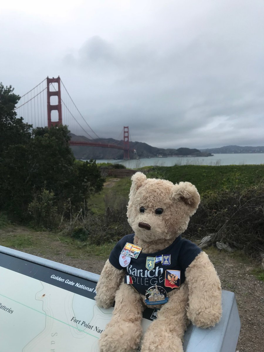 It's Teddy - enjoying San Francisco and its beautiful weather! Thanks to Carolina Iglesias for the photo! #teddytravels