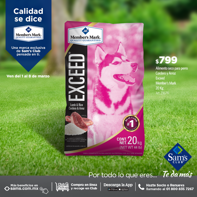 Total 78+ imagen sams club croquetas exceed Abzlocal.mx