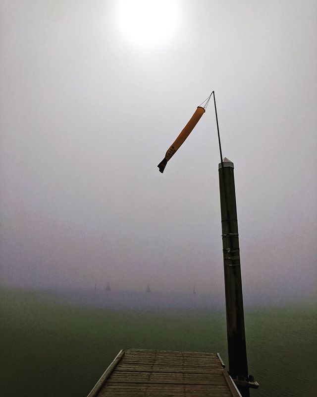 calsailing's tweet photo. Open house Sunday is here! The sun is burning off the fog and the wind is rising. It's going to be a lively and lovely day at Cal Sailing!

#openhouse #calsailingclub #comesailwithus https://t.co/KaMba5iY8U https://t.co/xrsOrQZTJ7