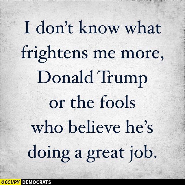 StopTrump2020's tweet photo. Who scares you more?  @realDonaldTrump for his stupidity or his squad of fools? https://t.co/6hbnja34Bt