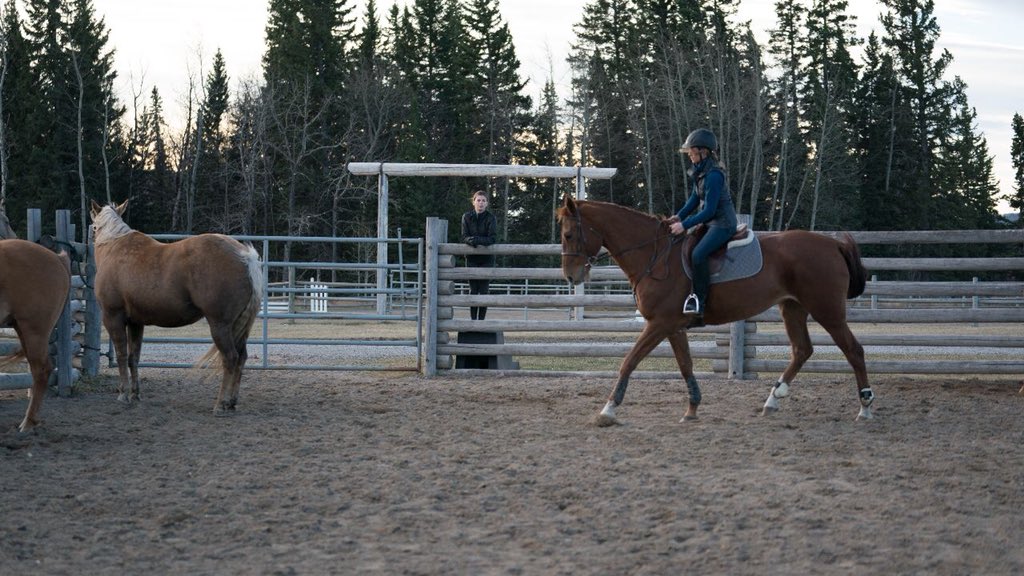 So a NEW Heartland episode starts this evening on <a href="/CBC/">CBC</a> across Canada🇨🇦 at 7:00pm (7:30pm in Newfoundland). It's episode 1115 and Amy's working with a troubled horse. 

Retweet this if you're going to watch it! 😀
#iloveheartland