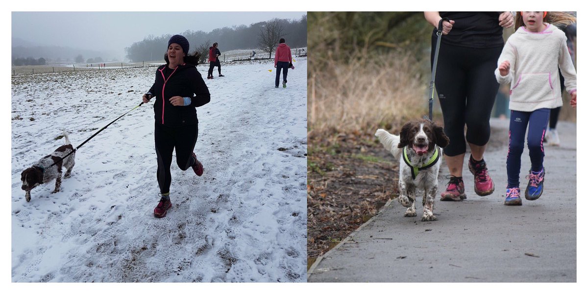 jane mann tweet media