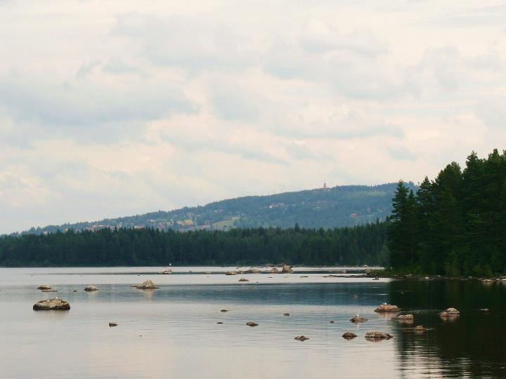 Coventry Scouts tweet media