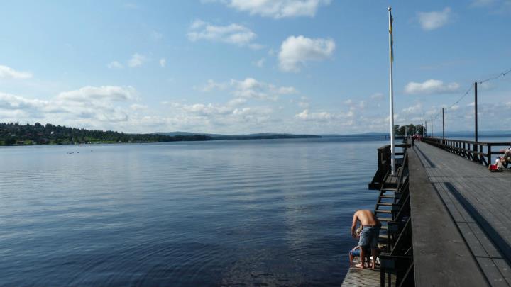 Coventry Scouts tweet media