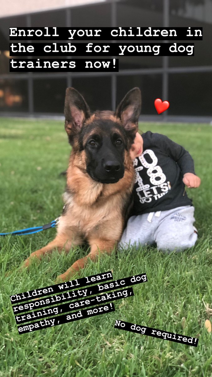 MasterDog22's tweet photo. Looking to enroll your children in a class that will teach them responsibilty, kindness, boost their confidence, AND provide them with dog training skills? Enroll your son or daughter in the Club for Young Dog Trainers today! Dog not required, Call (818) 290-9411! https://t.co/0A8UgjoMPJ