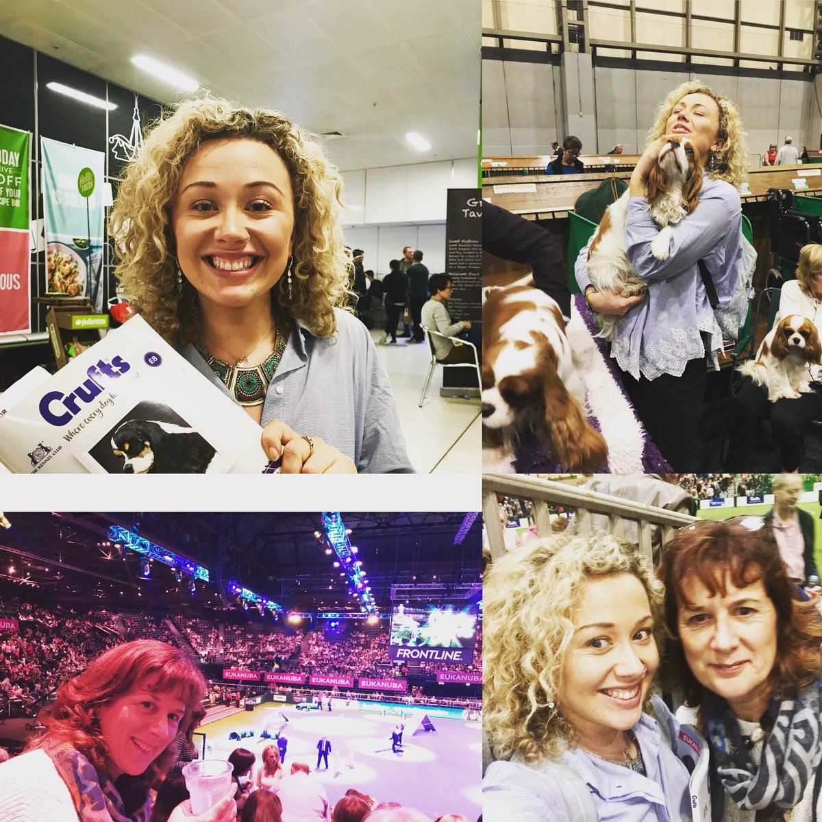 Had an amazing time at <a href="/Crufts/">Crufts</a> 2018 and hope <a href="/Dogs/">Dogs</a> in Psychology will have a stand next year after this PhD research is done! Anyone who has had a dog present when having psychological therapies please get in touch I am recruiting participants now!