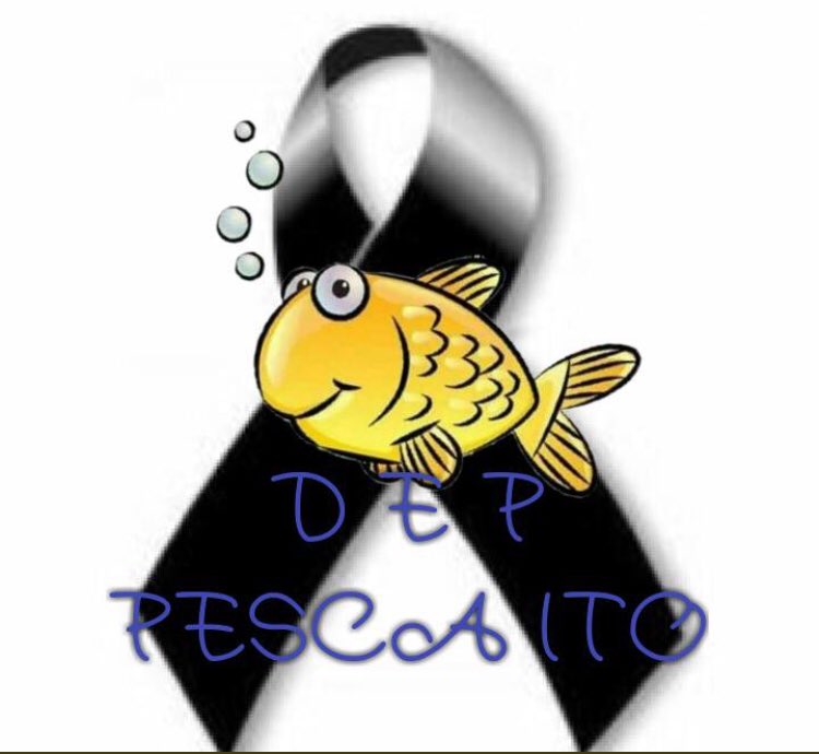 susanamegan_'s tweet photo. Descansa en paz pequeño Gabriel! 😞♥️😢 #DEPPescaíto #Gabriel https://t.co/9AiHaGjzhD