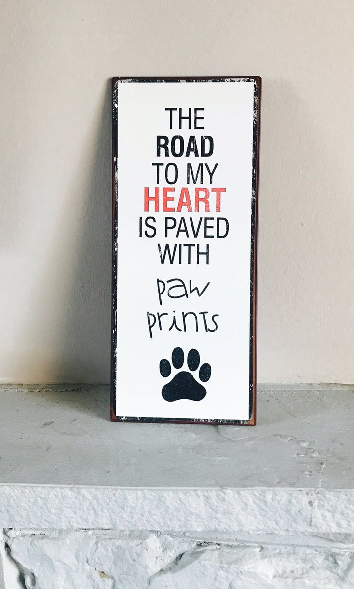pinklemonadebou's tweet photo. #Howard #Crufts2018 #crufts #howardtowin #BestinShow #crufts #pappilion 

💕🐶Howard gets our vote🐶💕

https://t.co/RXIgm9HO4F https://t.co/6EJ52Afsjq