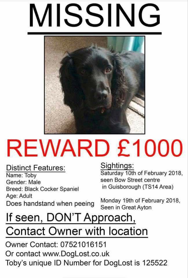 rosiedoc666's tweet photo. ITS UNBELIEVABLE HOW ANYONE CAN TAKE A DOG FROM THEIR OWNERS & KIDS
#heartbreaking ๐ for the poor #stolendog
#helpfindRosie #FindMissingToby
BOTH FROM SAME AREA https://t.co/KNYubNpHMB