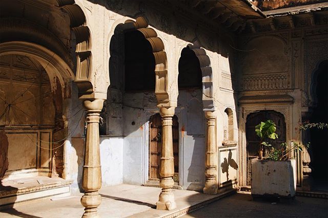 amy_calitz's tweet photo. indian courtyard magic | part two ⠀⠀⠀⠀⠀⠀⠀⠀⠀
here is where i found my reading spot , right amidst the faded blue and old wood and sunshine yellow https://t.co/vx0Fqc8v9E https://t.co/1s9HztkbHM