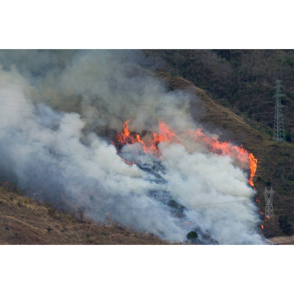 Efecto Cocuyo tweet media