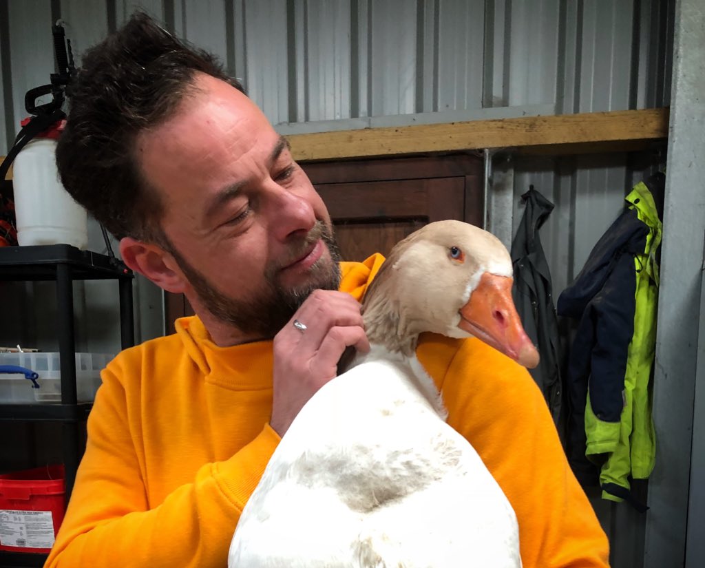 RedMieIOM's tweet photo. Stuart took the opportunity to have a little bonding time with Frank our gander this morning #thegoodlife #gooseisntjustforchristmas 😱#freerange #pasturefed https://t.co/B2ZxJ1oO4A