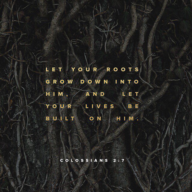 northcoasttec's tweet photo. #RootedInHim🌳✝️ | #DailyScripture https://t.co/OVLTskppKT https://t.co/sxvcsywkx5