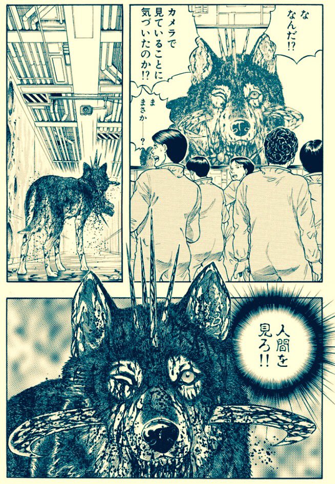 外薗昌也 鬼畜島 パンプキンナイト 闇異本 犬神連載中 犬神 改 第16話 2 更新 Webまんが リイドカフェ T Co Zpjzt4cjjz 悲しい闘いは終わった ラッキーの想いを受け取め 走りだす23 その胸に去来するのは人間への怒りか 絶望か 犬神 外薗昌也 鬼畜島 パンプキンナイト 闇異本 犬神連載中 犬神 改 第16話 2 更新 Webまんが リイドカフェ T Co Zpjzt4cjjz 悲しい闘いは終わった ラッキーの想いを受け取め 走りだす23 その胸に去来するのは人間への怒りか 絶望か 犬神