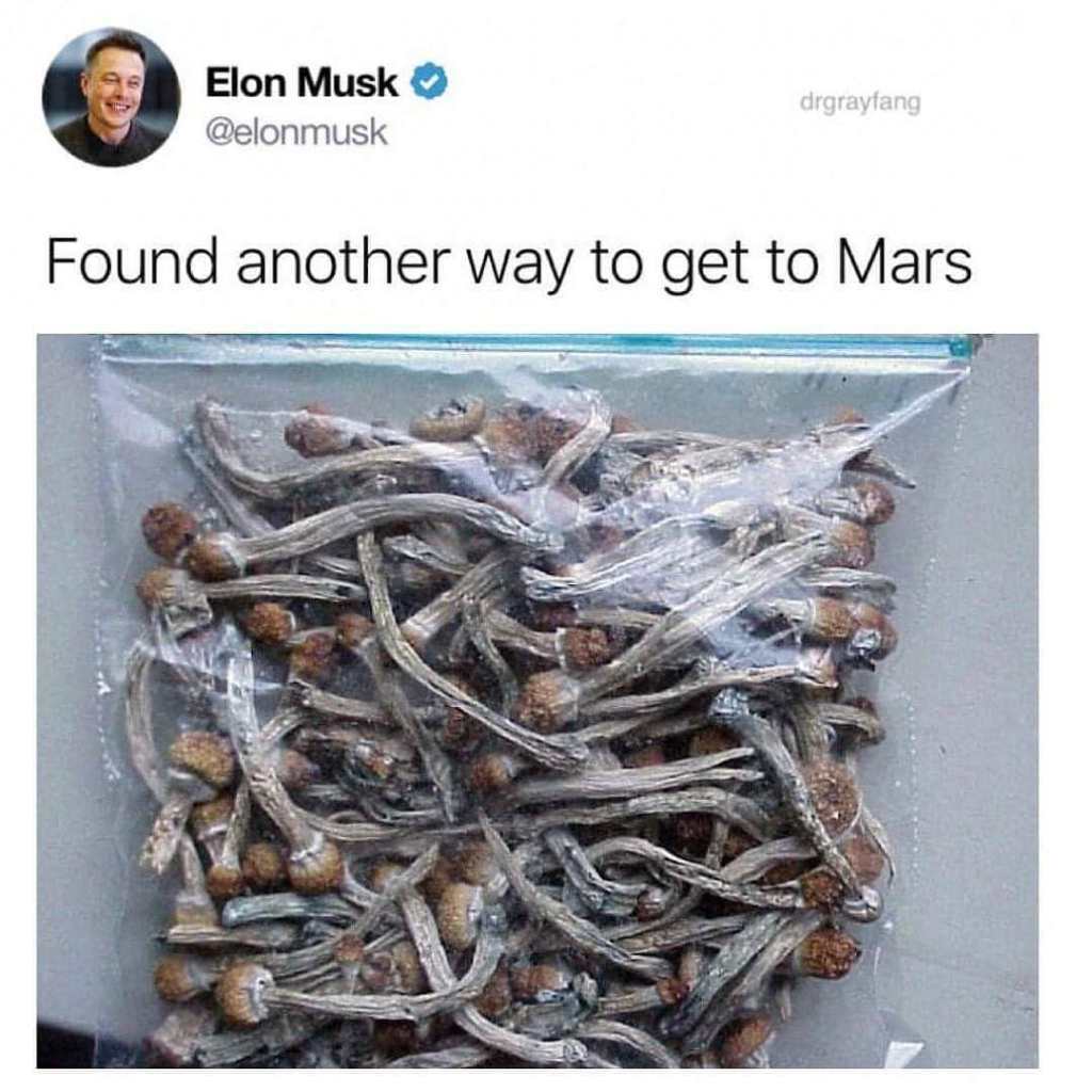 retrotechinfo's tweet photo. #fresh #pisk #nachui #fraka #nes #gausi #per #snapa #shrooms #elonmusk #yeahboy … https://t.co/53vRBG7BQh https://t.co/CjF8Q0egV3