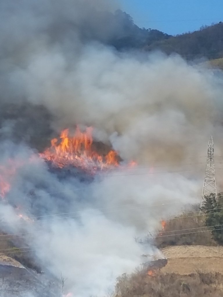 Sol Rojas tweet media