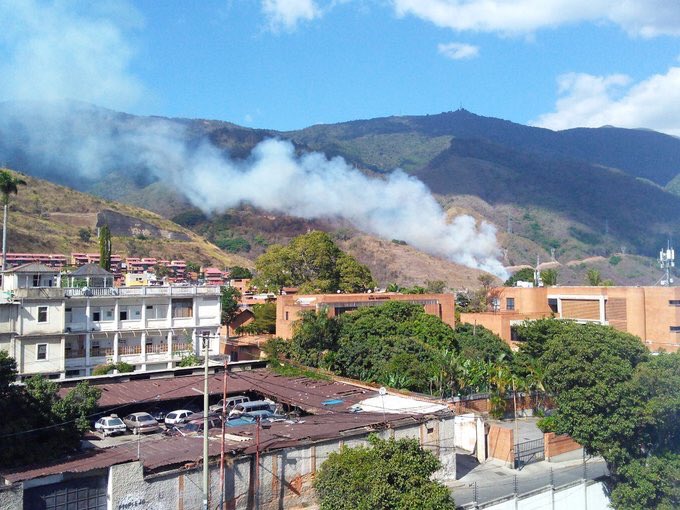 Sol Rojas tweet media