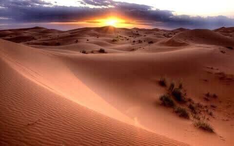 AMA2202's tweet photo. #كيف_تتوقع_مستقبلك

واستحي يالله أن أحزن وأمري كله بيدك .. https://t.co/ApZrsfw0tU