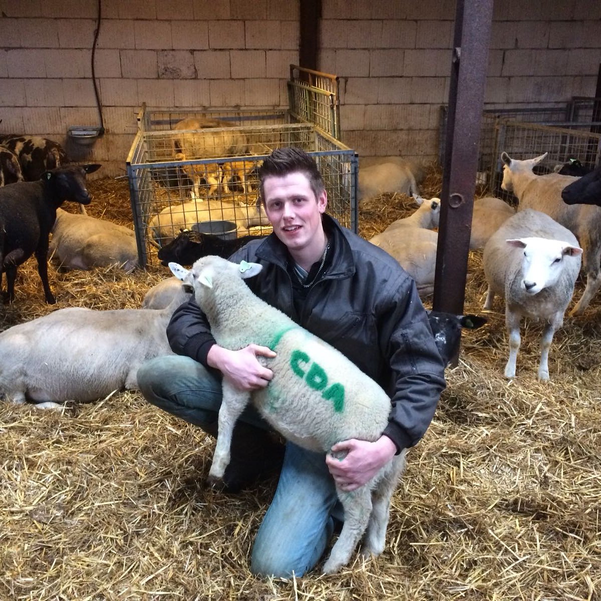 Zelfs m'n schapen zijn het er over eens! #kandidaat #raadslid #stemCDA #Meppel #plek6 GR2018 #trotsejongeboer #boerenverstand