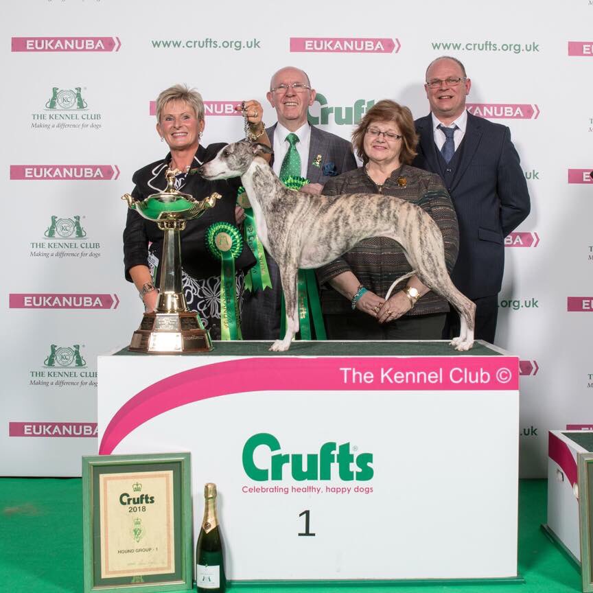 Crufts Special - bring your Whippet to <a href="/beadlamgrange/">Beadlam Grange</a> next week and receive free coffee and cake to help you celebrate! Your whippet will also be spoilt with a biscuit &amp; a bone!
#whippet #whippetsofinstagram #crufts #crufts2018 #tease #cruftschampion @beadlamgrangefarmshop