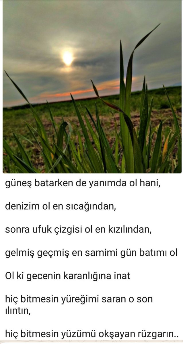 HarunErcan02's tweet photo. #günbatımı #gm5plus https://t.co/cAeWLCK1fo