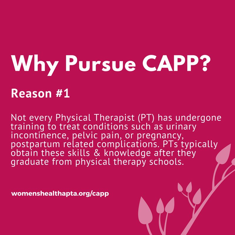 aptapelvic's tweet photo. What is CAPP? 
https://t.co/cqXL94nyq7

Course Catalog with detailed descriptions: https://t.co/sZCm20pUO4

Browse 2018 Course Locations &amp; Dates: https://t.co/ldZCrK2gmP

#physicaltherapy #pelvichealth #womenshealth #physiotherapy

Open to: Licensed Physical Therapists https://t.co/1OVO0xm62M