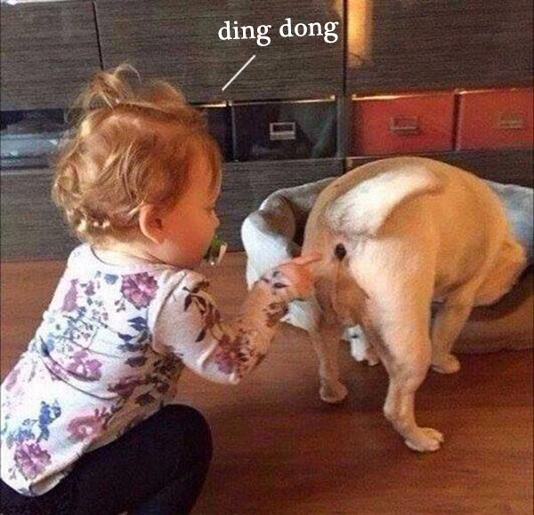 DogWatchTC's tweet image. Hope you had a good weekend because #Monday is ringing the doorbell