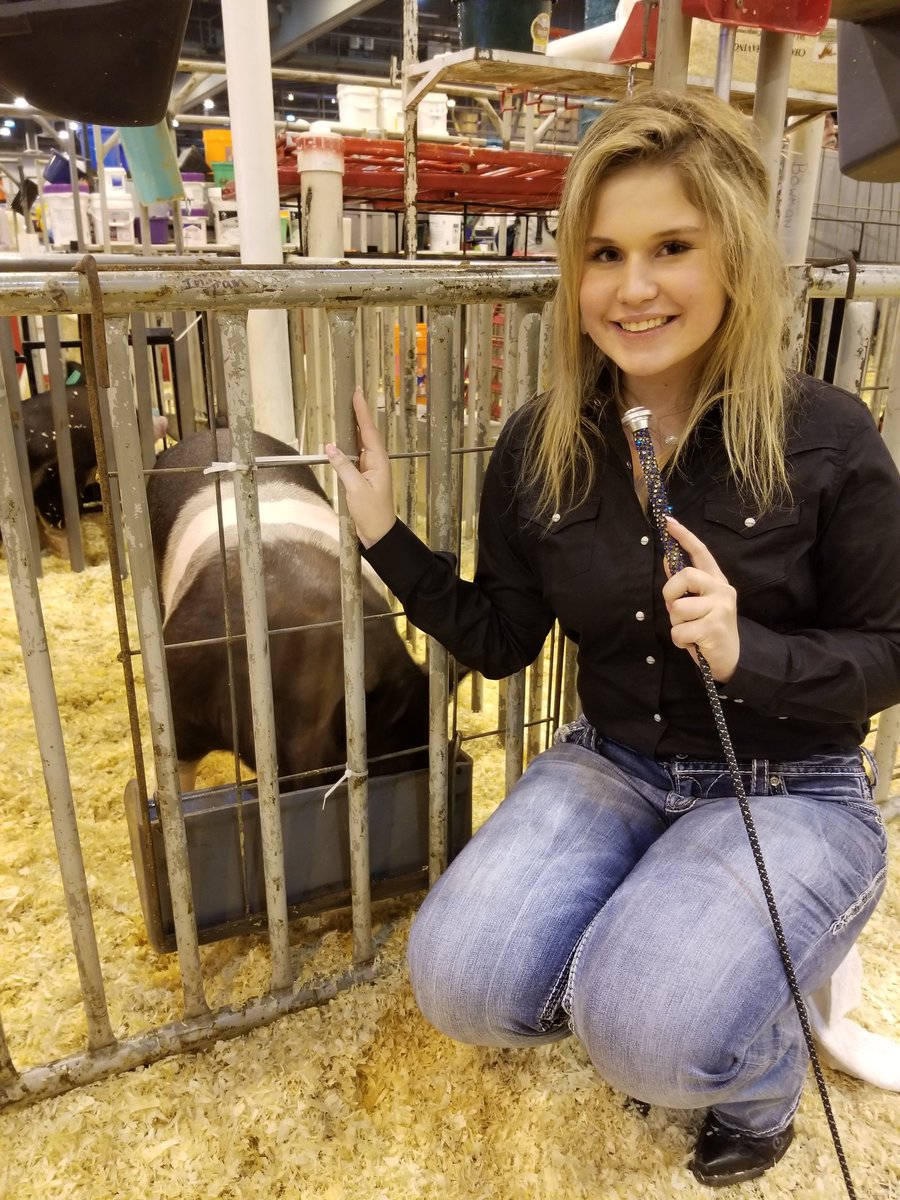 ClementsFFA's tweet image. Next up in the show arena is Bella! Good luck with your Hampshire!! @CHS_Rangers #houstonrodeo