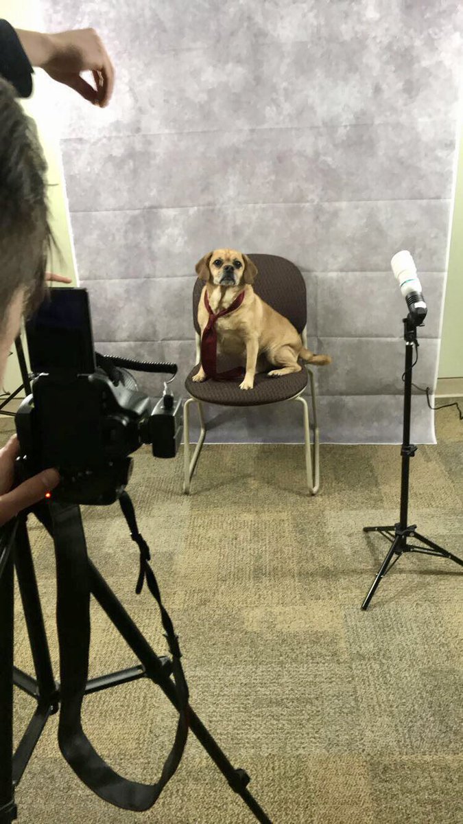 alphasig_uwm's tweet photo. Rocky took home the crown today for most photogenic at our composite day! https://t.co/3gmA0pVPPA