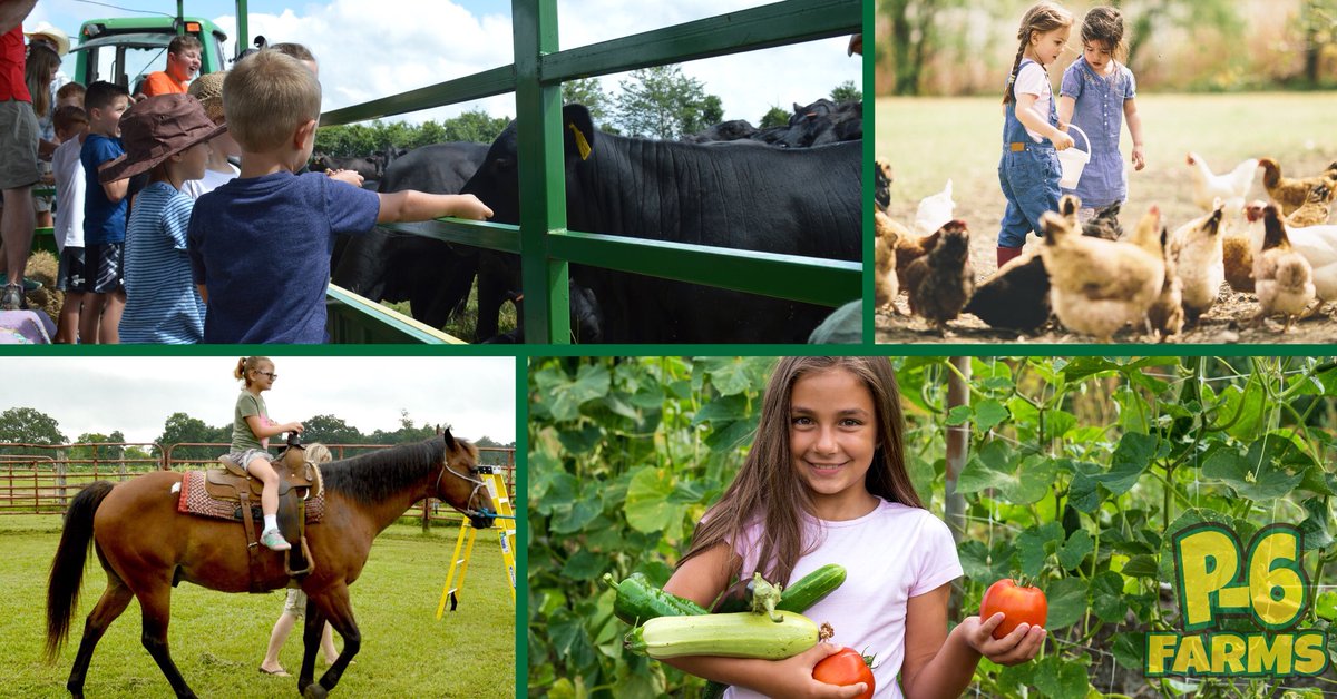 p6farms's tweet photo. Farm Camp 🚜  is good clean fun! (Well maybe a little dirt won’t hurt!😉) Sign up today‼️https://t.co/8Z8tXTCuJo https://t.co/0lgAFnw92R
