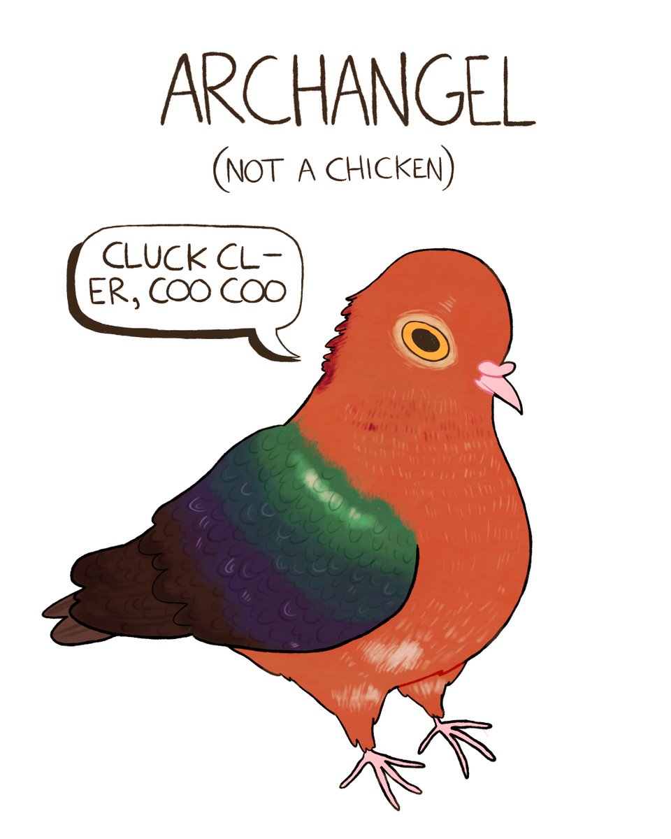 charlubby's tweet photo. rare pidgeos https://t.co/18NzUODi9k