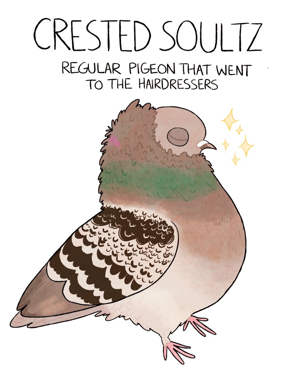 charlubby's tweet photo. rare pidgeos https://t.co/18NzUODi9k