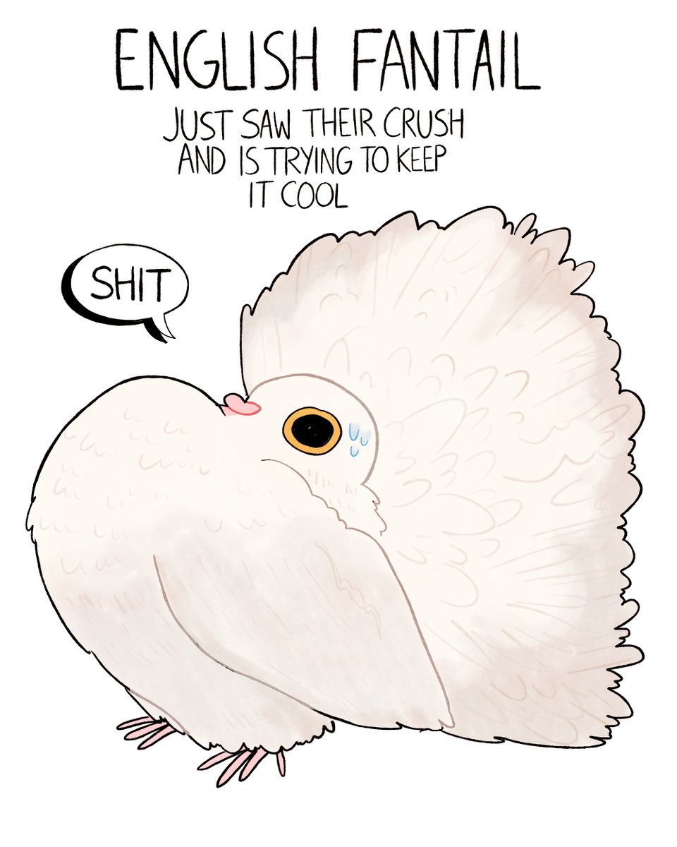 charlubby's tweet photo. rare pidgeos https://t.co/18NzUODi9k