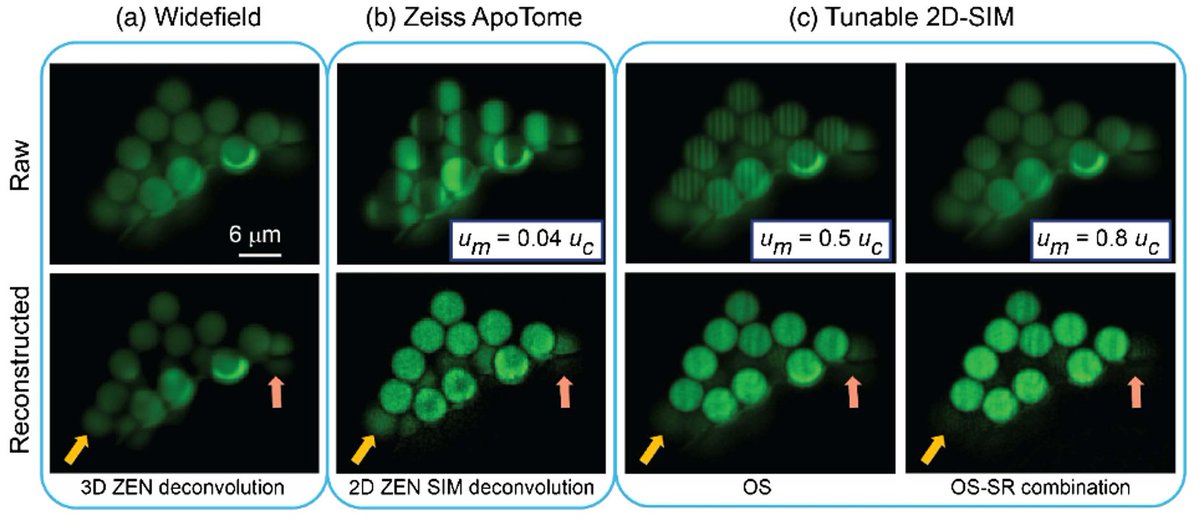 OptNanoscopy's tweet photo. "Improvement of 2D structured illumination microscopy with an incoherent illumination pattern of tunable frequency" by Shabani et al #2DSIM #SIM https://t.co/FN63STts12 https://t.co/9xx0UnDjo5