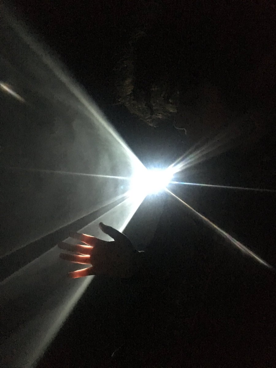 LookUpYoga's tweet photo. Second Sundays w/ my first born @PioneerWorks_ #SolidLightWorks #VR https://t.co/LpdbyNCAMO