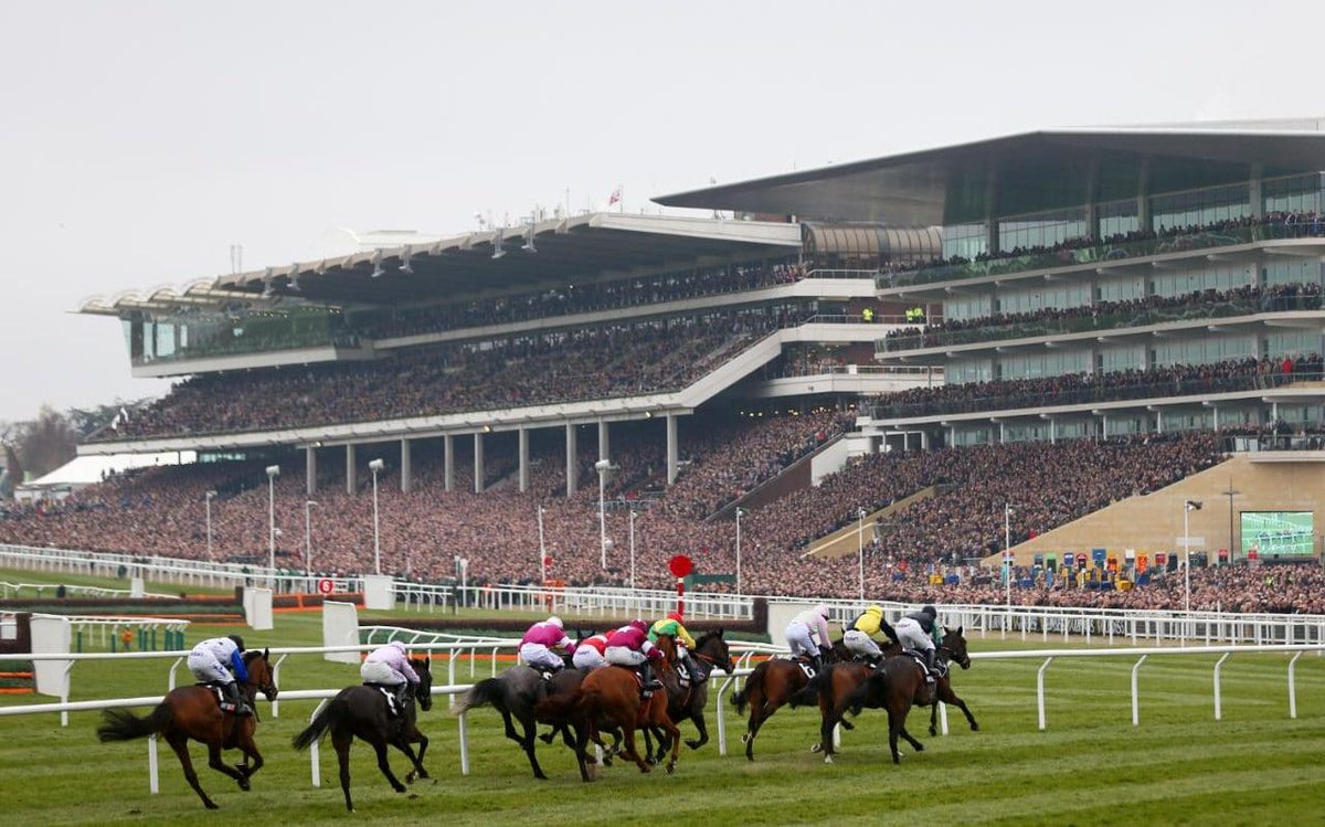 JamesStevens180's tweet photo. The 2018 Cheltenham Festival is here! I will be covering all four days, keeping you posted with:

💷 Daily tips for every race
💬All the gossip from the track
📰 Previews, news and features
👍🏻All you need to know
 
💰Let me hear your daily Banker and EW bet. 

RT's Appreciated! https://t.co/accPrkVyp6
