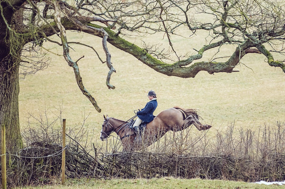 **HEADCAM**

Super day with the Ledbury Hunt on Friday. Chester had his first Ledbury day and was a legend! He is sadly FOR SALE. PM for more details. 

Also welcoming new head cam sponsors <a href="/ROilLiquidGold/">R-Oil</a>! Horses looking 👌🏻 on the oil! #gleaming 

youtu.be/fYQuz14ntGI