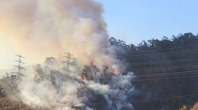 NTN24 Venezuela tweet media