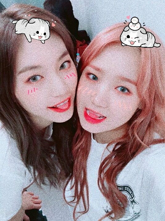 ꒰#도연꒱ ⁺ ꒰#DOYEON꒱ ⁺ ꒰#최유정꒱ ⁺ ꒰#YOOJUNG꒱ 
—♡⃛ [ weki meki ]