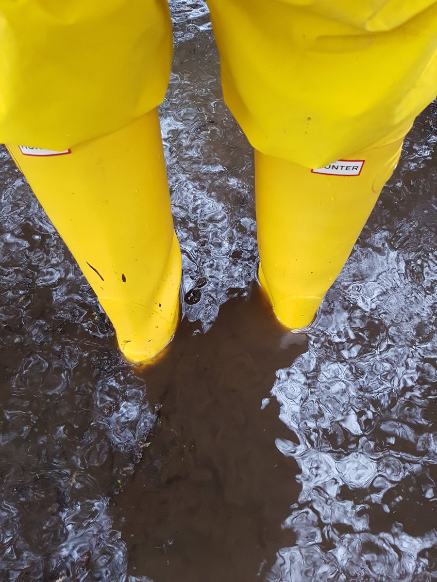 ILuvWellies's tweet photo. See what I mean!!! Lol 😁 https://t.co/8r5KLMZNfa