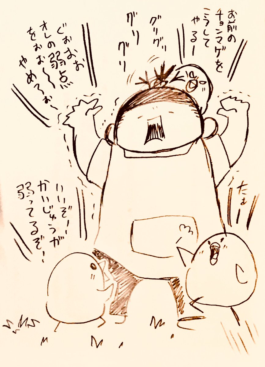 #1日1鶏 
にわとり保育園
「かいじゅうごっこ」 