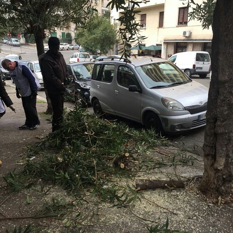 AmbienteRoma2's tweet photo. Un ringraziamento speciale a #AMICIDIVILLALEOPARDI, #AmicidiPortaPia, i ragazzi della #Caritas, gli #amicidipiazzacaprera e tanti altri cittadini del nostro #MunicipioRomaII che oggi con grande senso civico hanno ripulito #ViaMakalle',#ViaAsmara, #ViaTripoli, #ViaMogadiscio. https://t.co/NvS4ZIO13R
