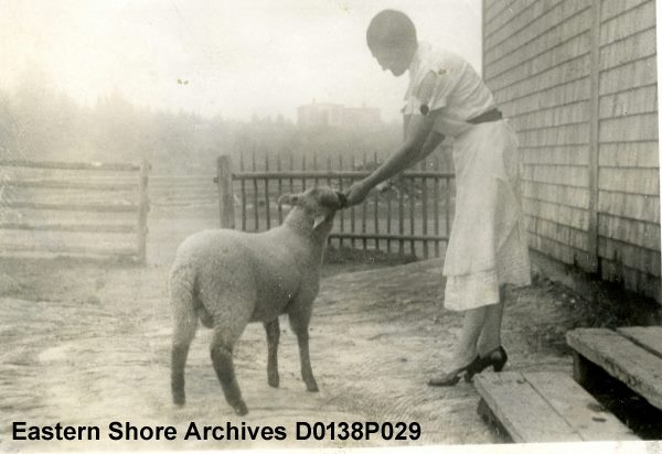 ESarchives tweet picture