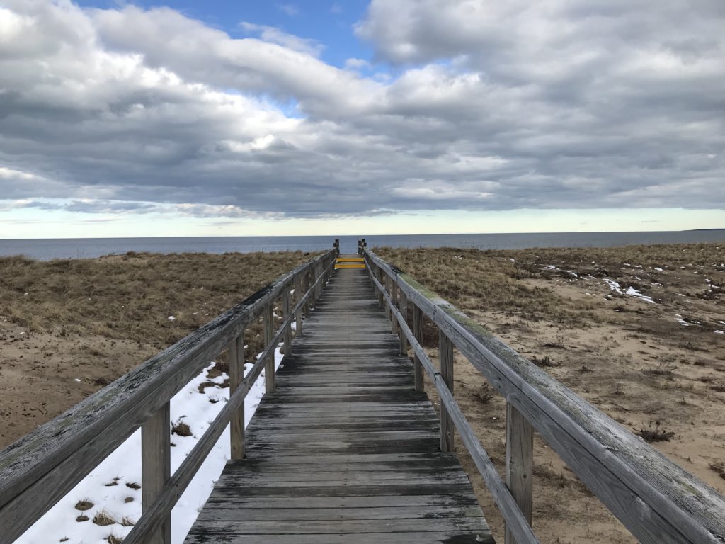 OTemily3's tweet photo. Snowy owl- captured only in an iPhone 7- but commanding the attention of many professional photographers in the marsh @USFWSNortheast #PlumIand @newburyportnews Parker River National Wildlife Refuge #nature #favoriteoccupation #hiking #outdoors https://t.co/Bs1Lfd1xIS