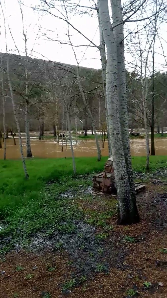 DcoverS_'s tweet photo. La Tabla de la Yedra completamente desbordada. Increíble y precioso. @meteocr @meteociudadreal @wikiCR https://t.co/yz3QpeBvJi