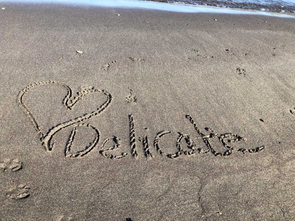 wahinepunk's tweet photo. Today!  Delicate music video. #DelicateVideoSunday #DelicateToday @taylorswift13 @taylornation13 https://t.co/lmt523tMM8